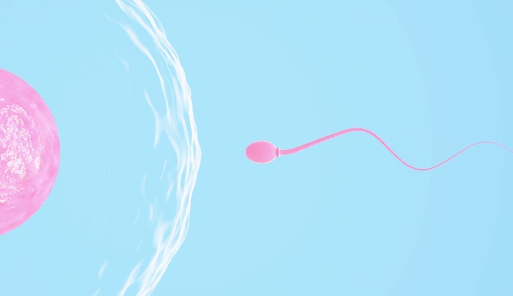Sperm health pregnancy